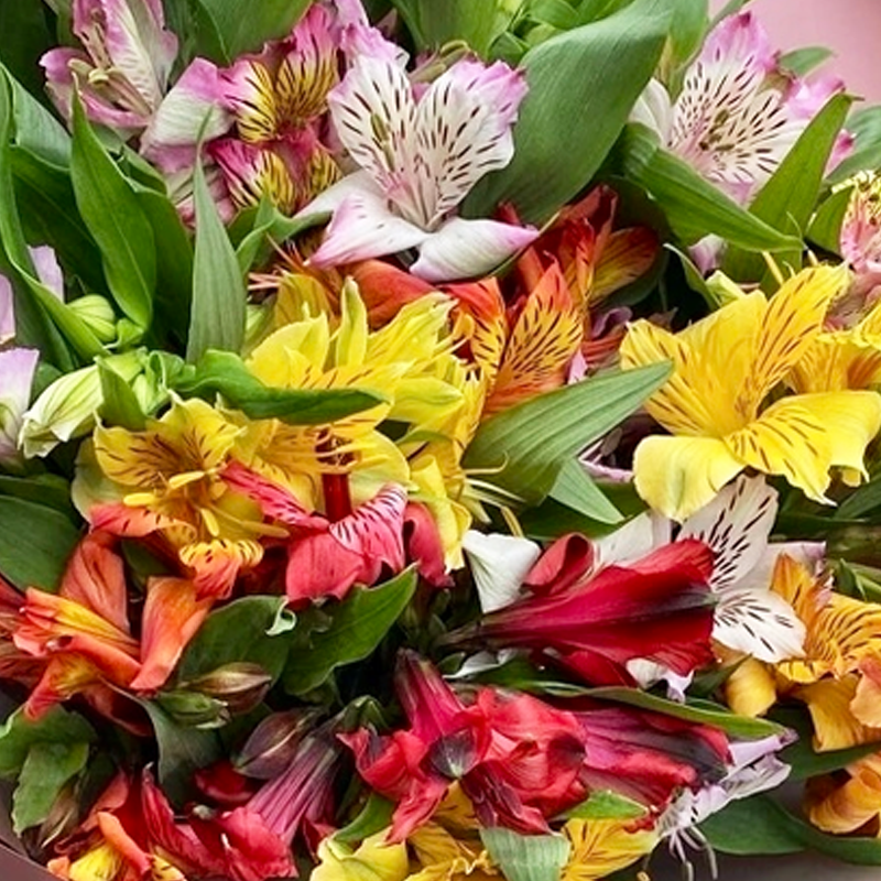 Букет Чудеса сбываются