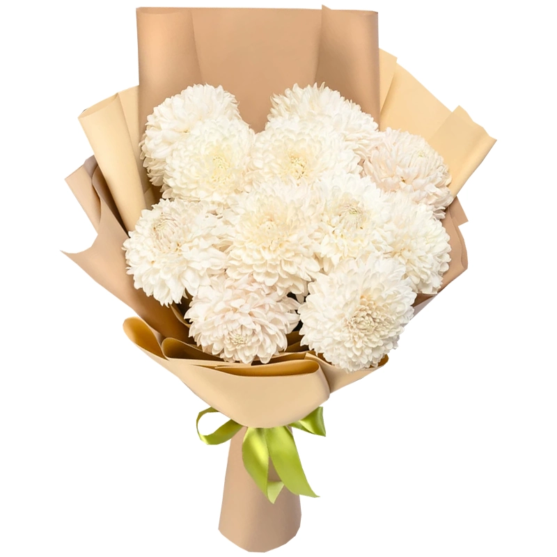 Букет из 11 белых одноголовых хризантем
