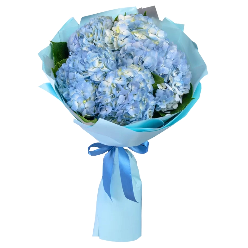 Букет из 5 синих гипсофил
