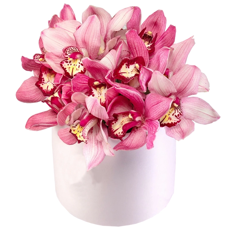 Композиция из 15 розовых орхидей