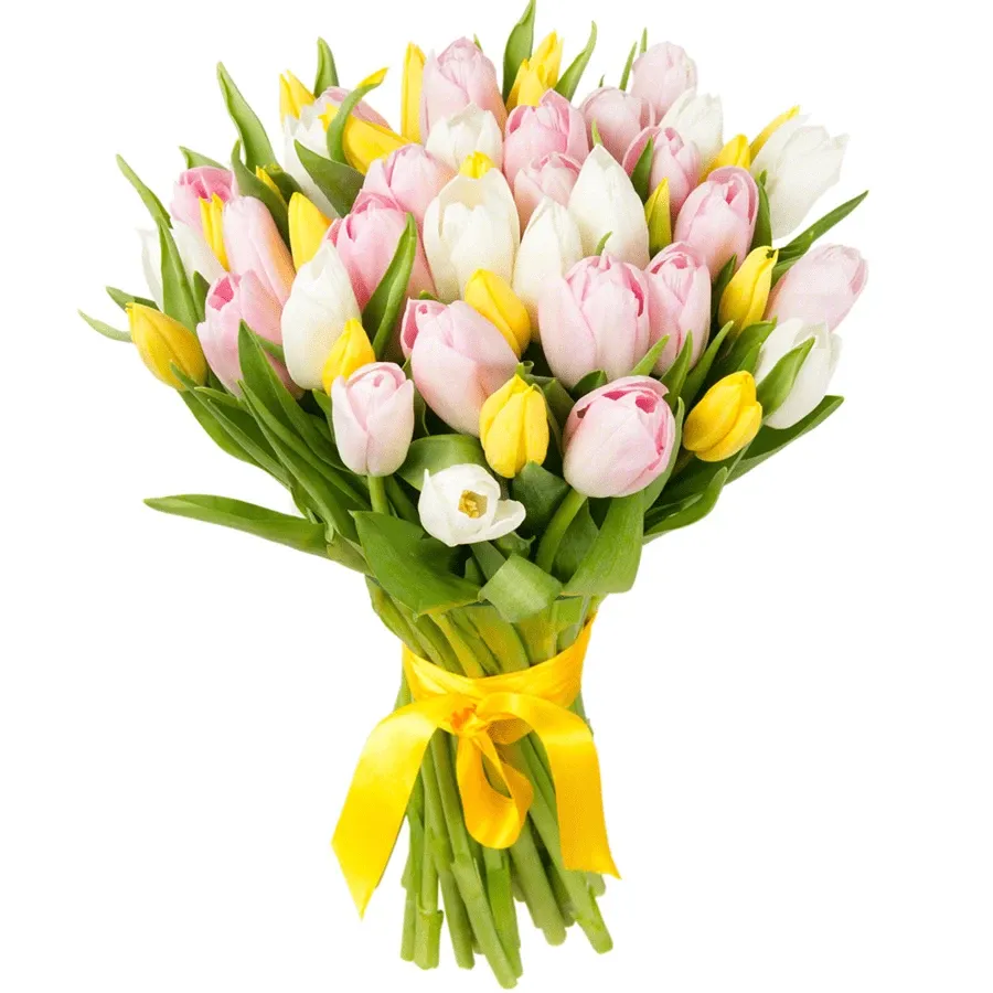 Тюльпаны нежный микс
